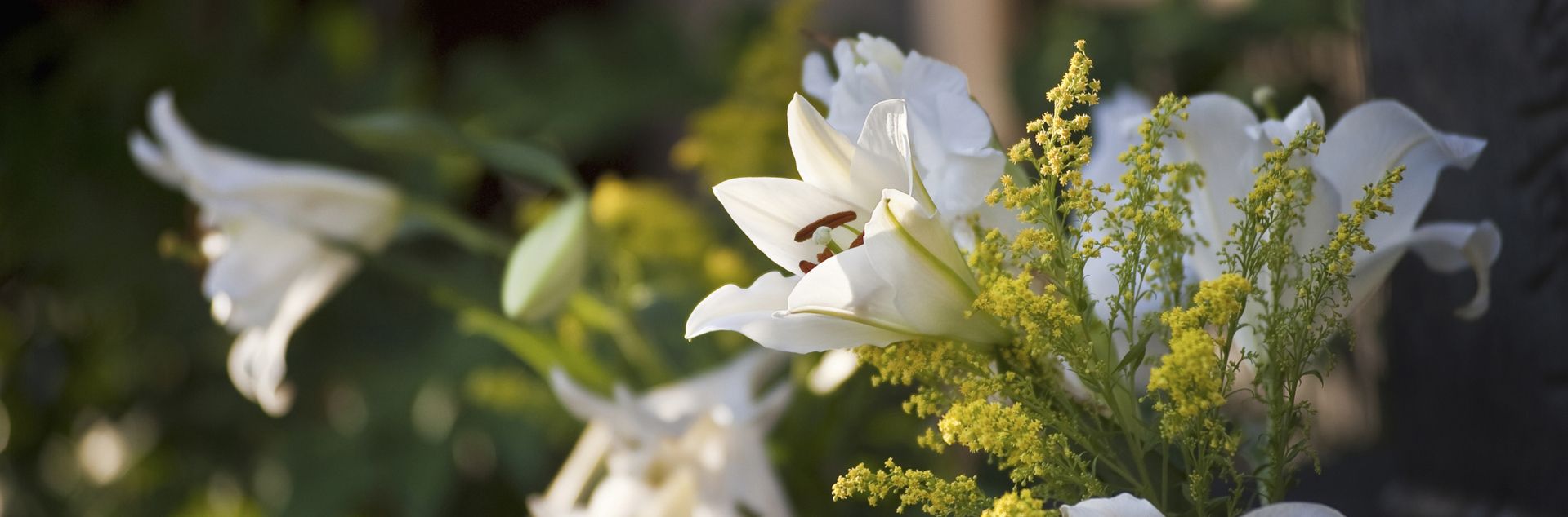 Weiße Lilien und gelbe Blumen als stilvoller Blumenschmuck im Garten